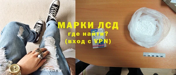 шишки Белокуриха