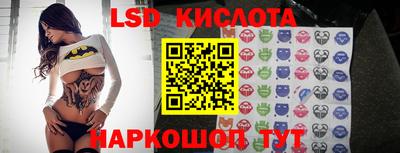 spice Рязань