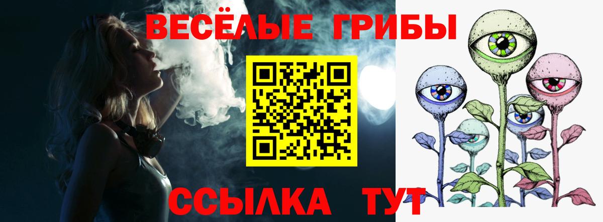 Чайковский  Галлюциногенные грибы мицелий  Вход с VPN  Псилоцибиновые грибы Magic Shrooms 