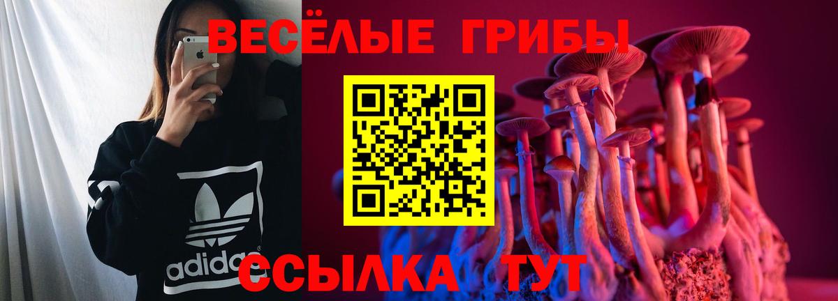 Галлюциногенные грибы Magic Shrooms Чайковский